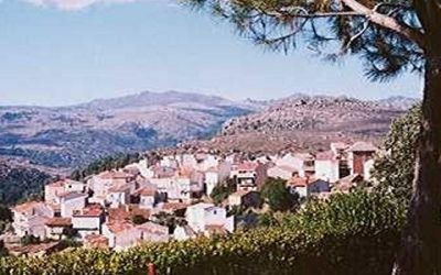 NUEVA AREA EN NAVARREVISCA