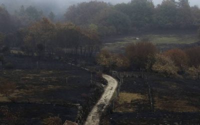 As Neves (Galicia) – Concentración de AC`s ecológico-solidaria por los recientes incendios