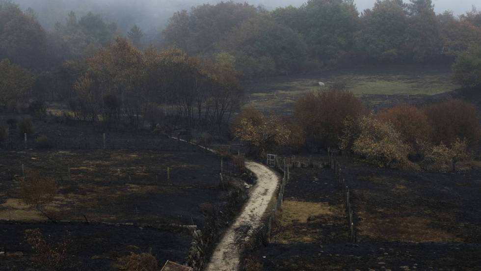 As_neves_incendio_2017