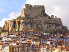 Morella